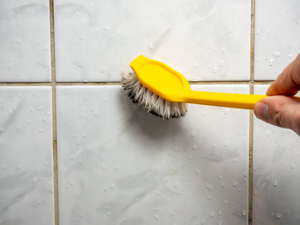 Best Attic Mold Removal  in Latham, NY