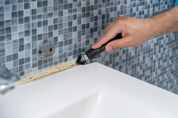 Professional Mold Removal in Latham, NY
